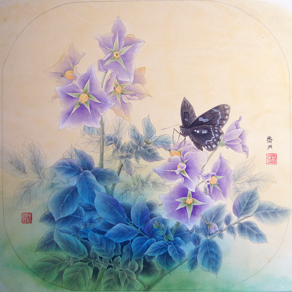 村曉