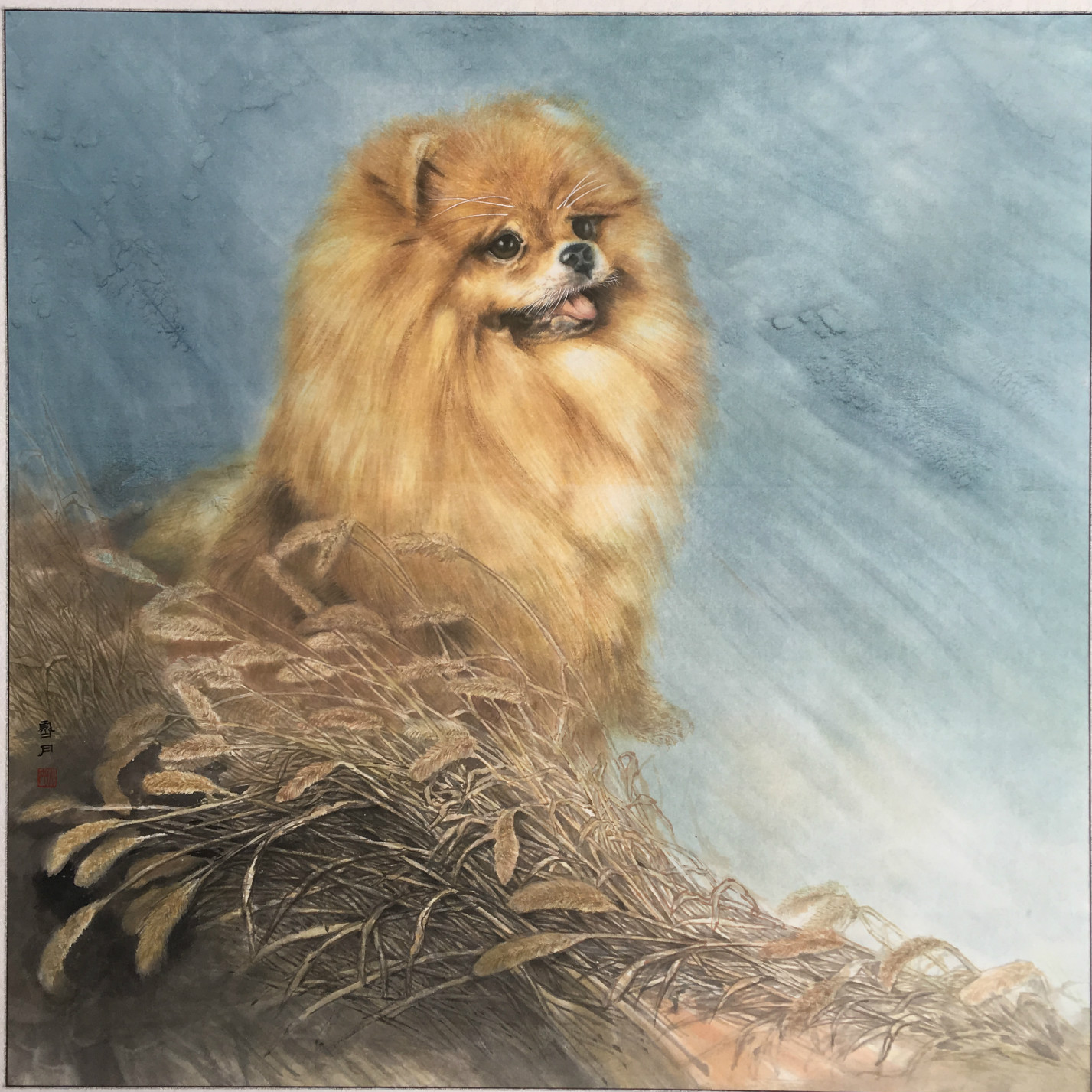 憨態可掬