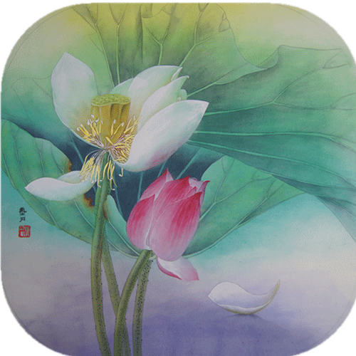 濯濯其華