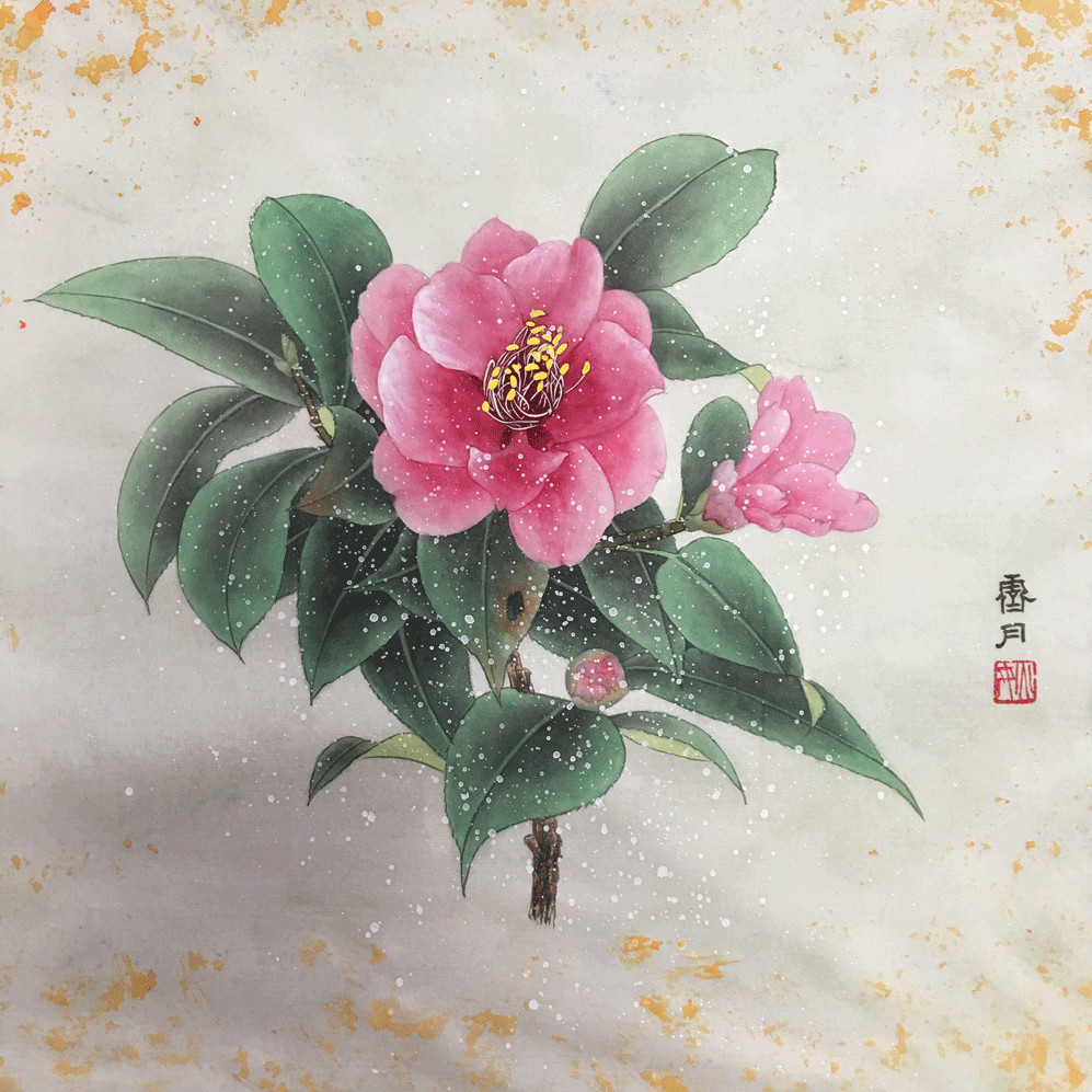 茶花