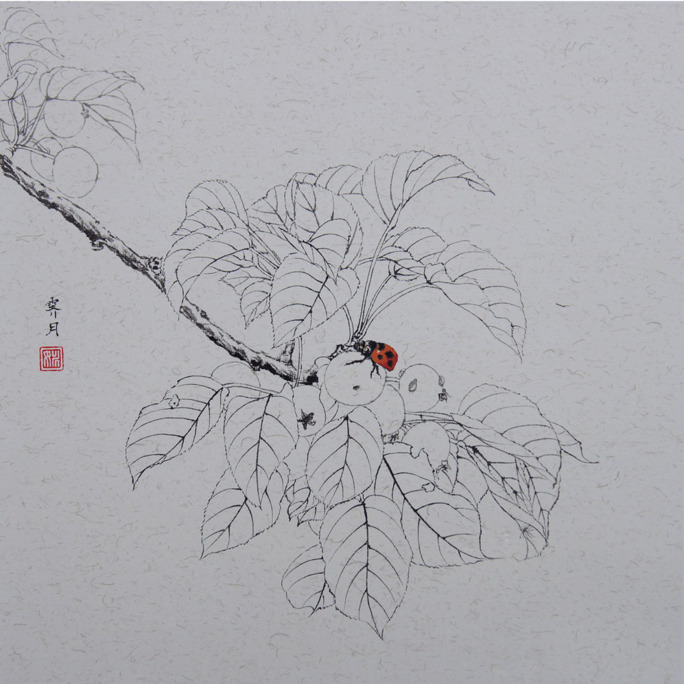 梨