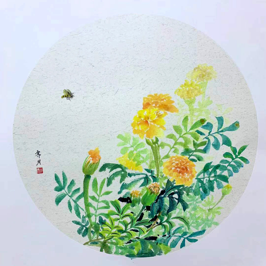萬(wàn)壽菊