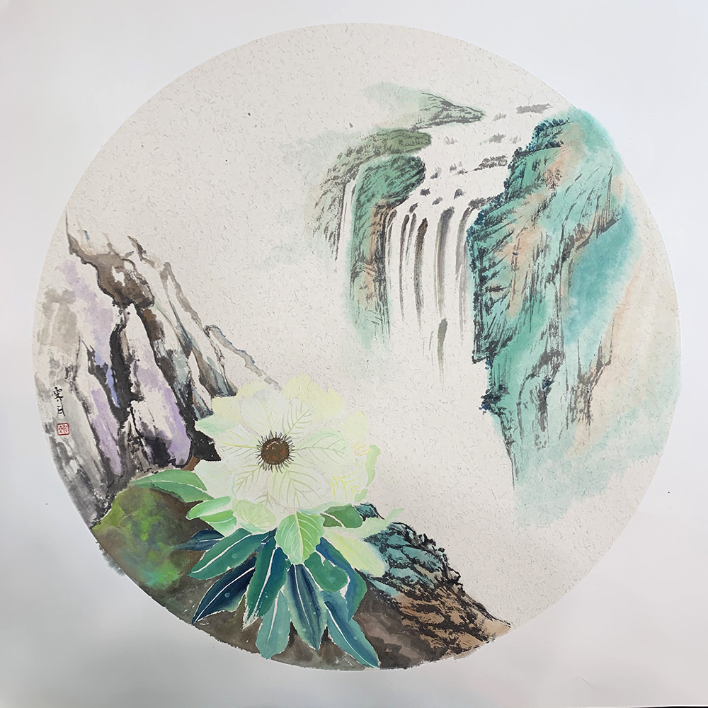 高山上的蓮