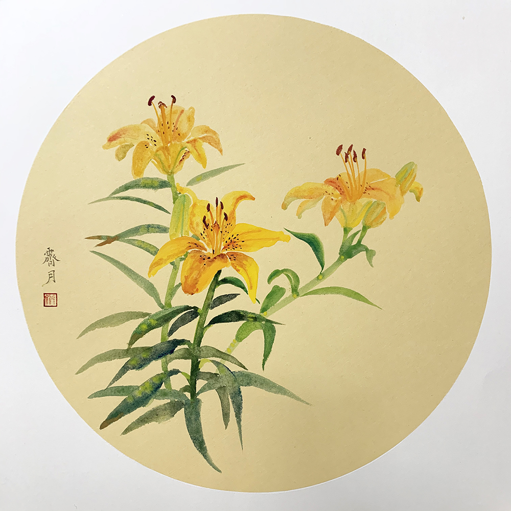 火百合