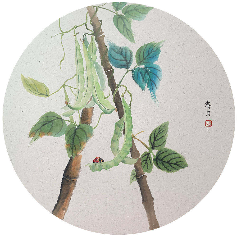 四季豆