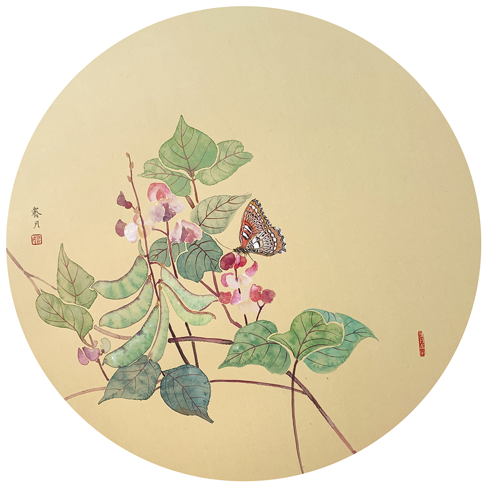 滿架秋風(fēng)扁豆花
