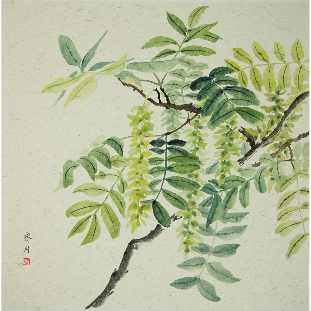 《麻柳》