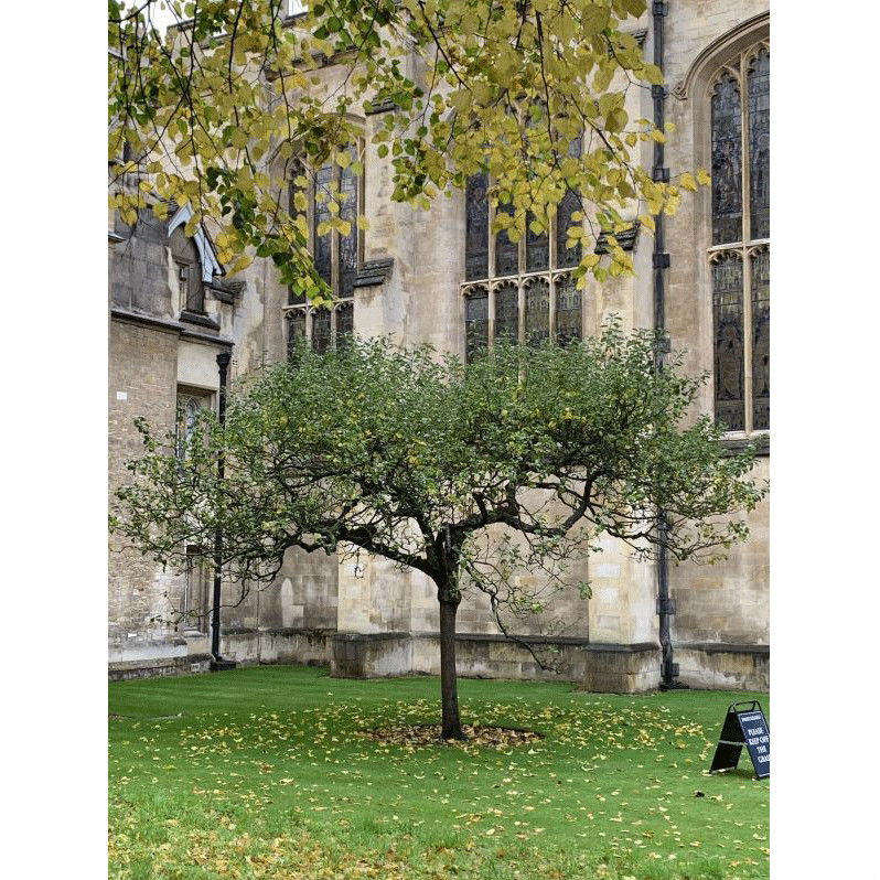姚霽月應邀赴英國參加《讀懂英國》國際會議